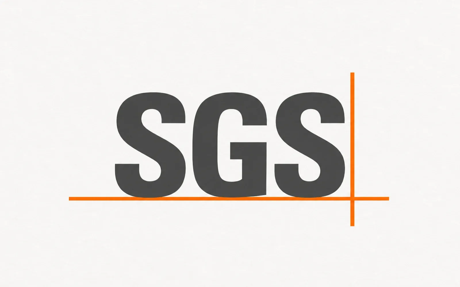 SGS lettering on a light paper-textured background for the Xingzhong 2017 factory audit retrospective.